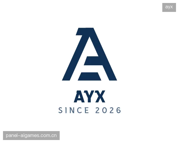 了解ayx公司